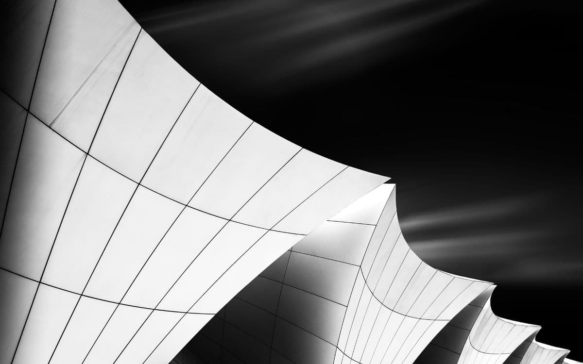 A curved shell roof sweeping across the frame